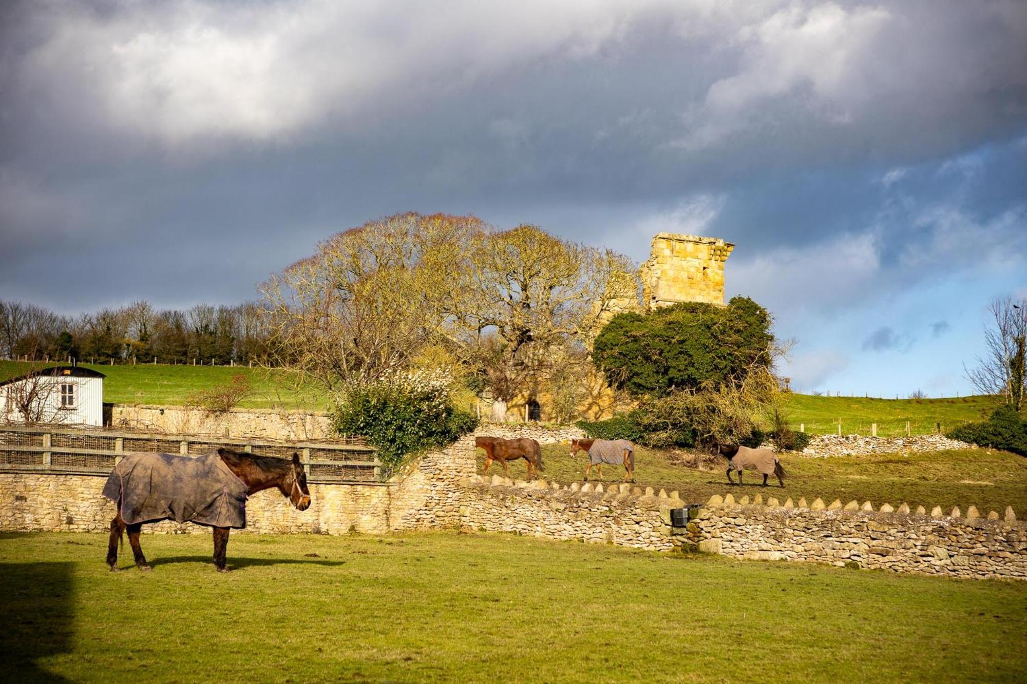 Yew Tree Cottage East Ayton Екстериор снимка